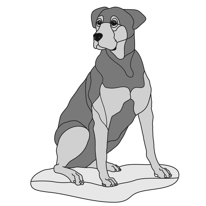 Mixed Breed #3