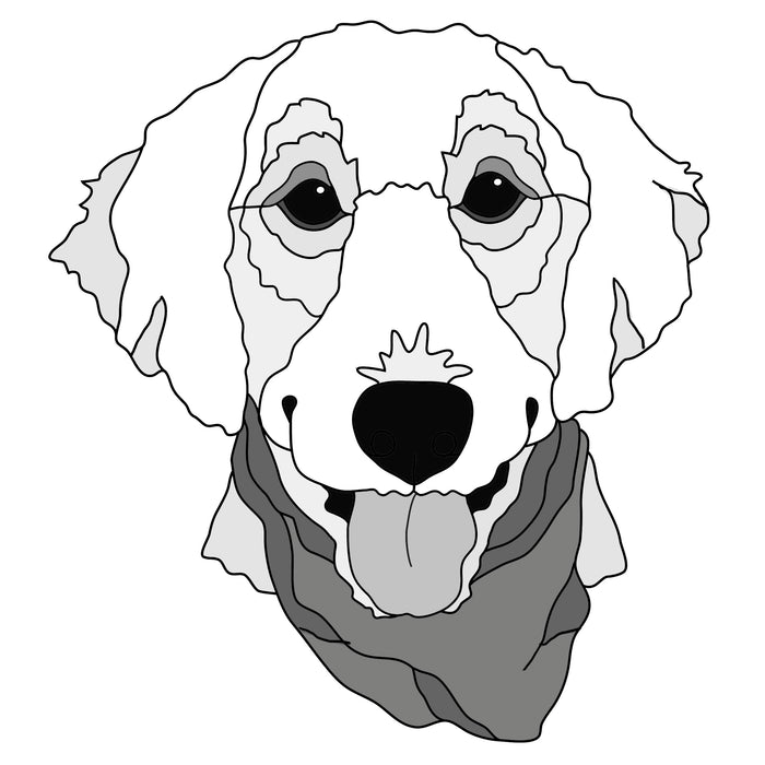 Cockapoo #3