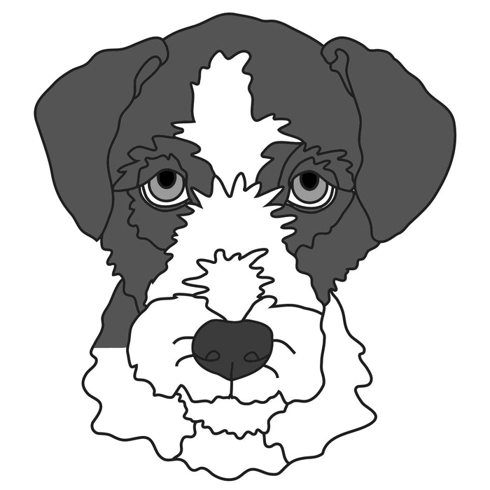 Mixed Breed #11
