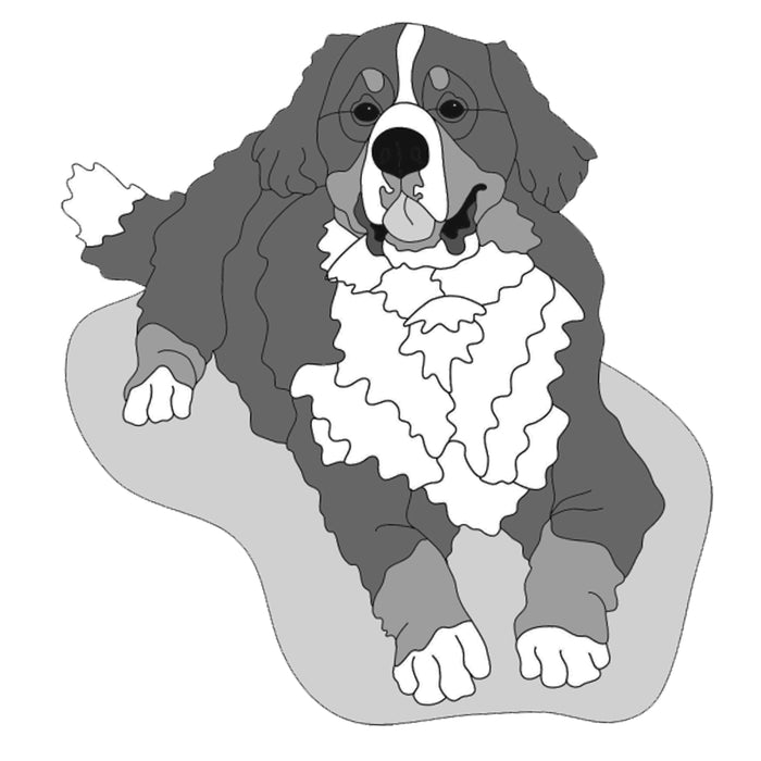 Bernese Mountain Dog Lying