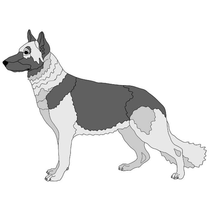 German Shepherd Standing