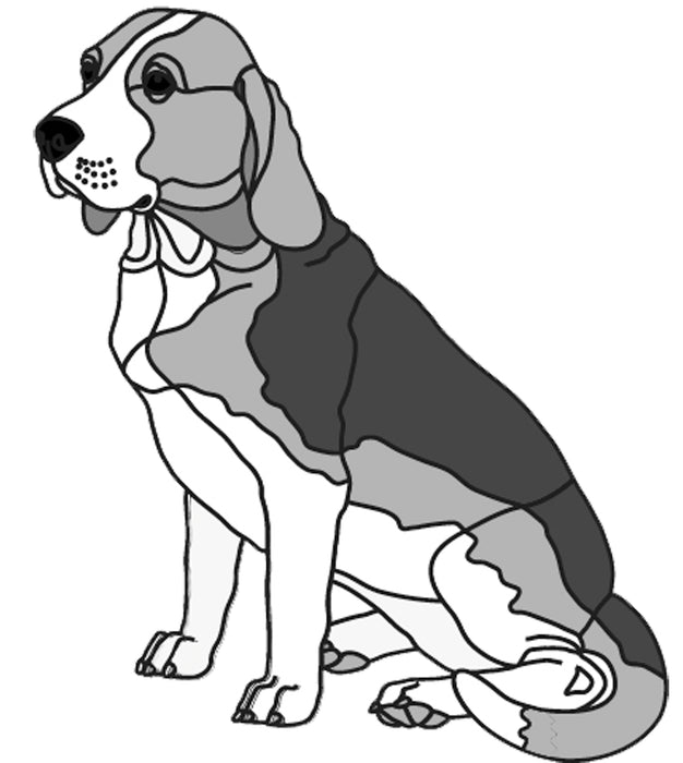 Beagle Sitting