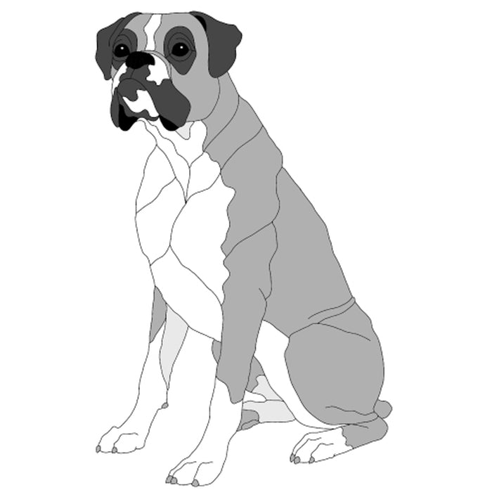 Boxer Sitting