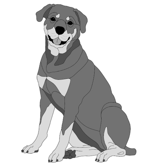Rottweiler Sitting