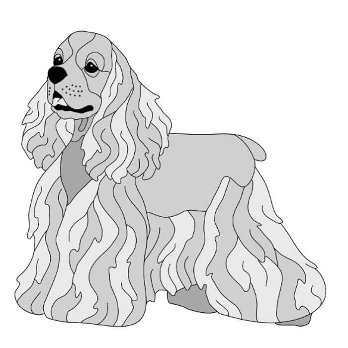 Cocker Spaniel Standing
