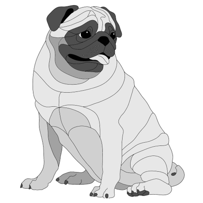 Pug Sitting