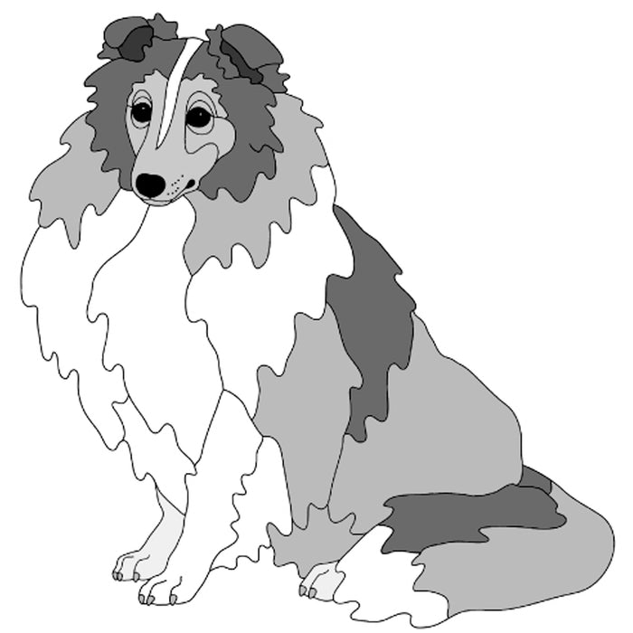 Shetland Sheepdog Sitting