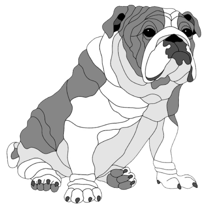 English Bulldog Sitting