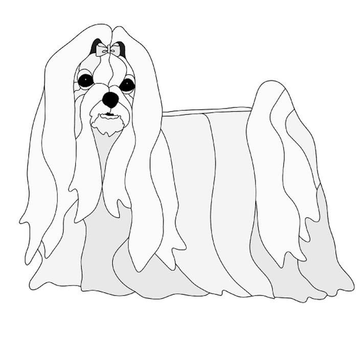 Maltese Standing