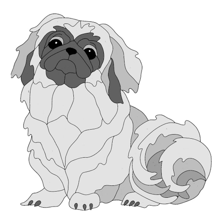 Pekingese Sitting