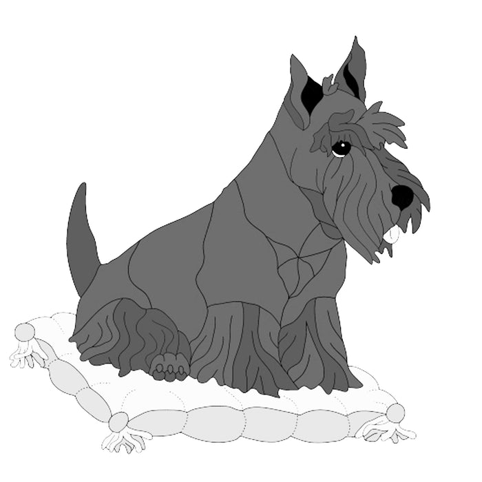 Scottish Terrier on Pillow