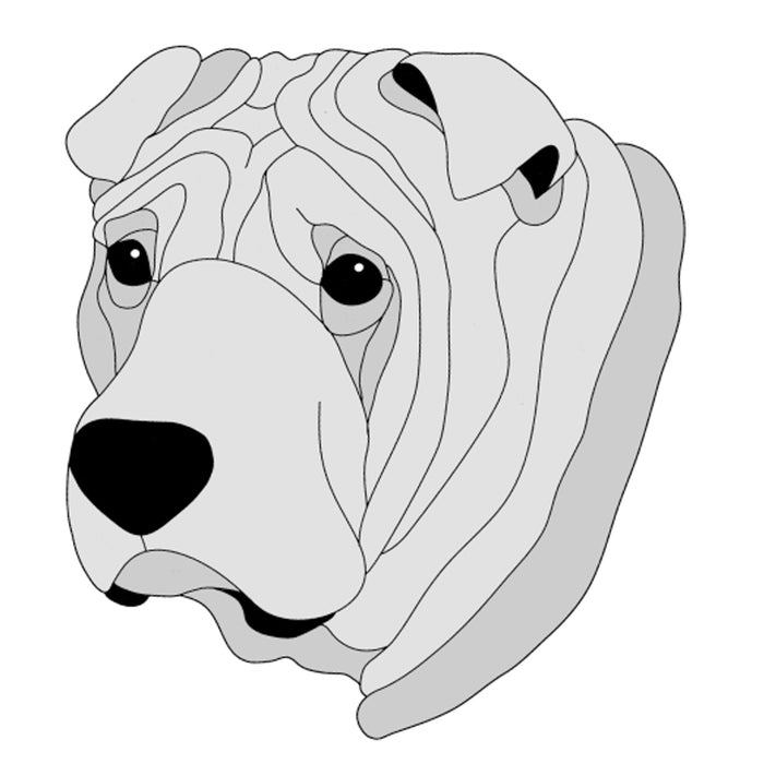 Shar Pei Head