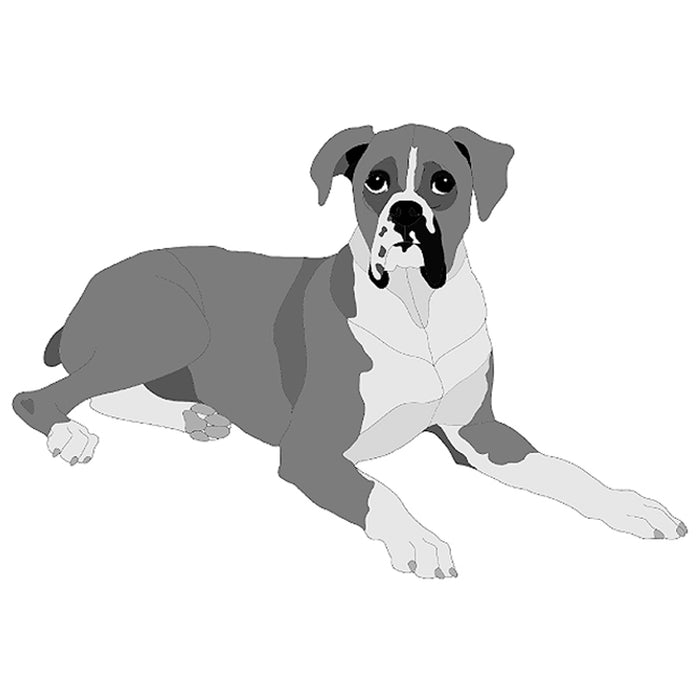 Boxer Lying