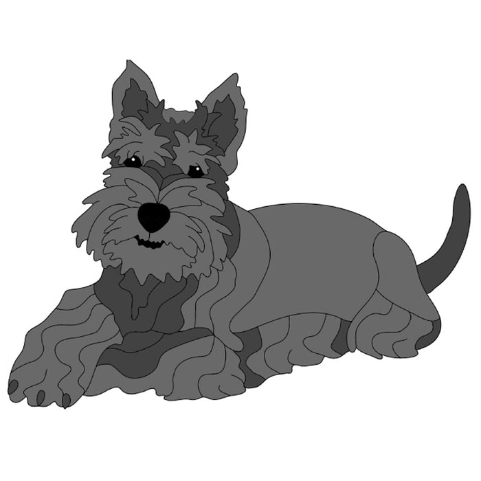 Scottish Terrier Lying