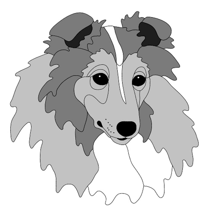 Shetland Sheepdog Head