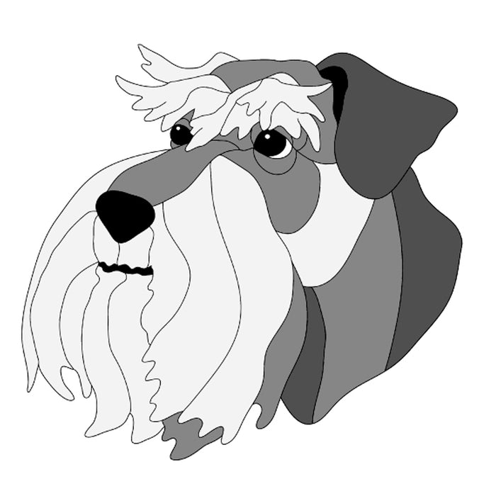 Schnauzer Head