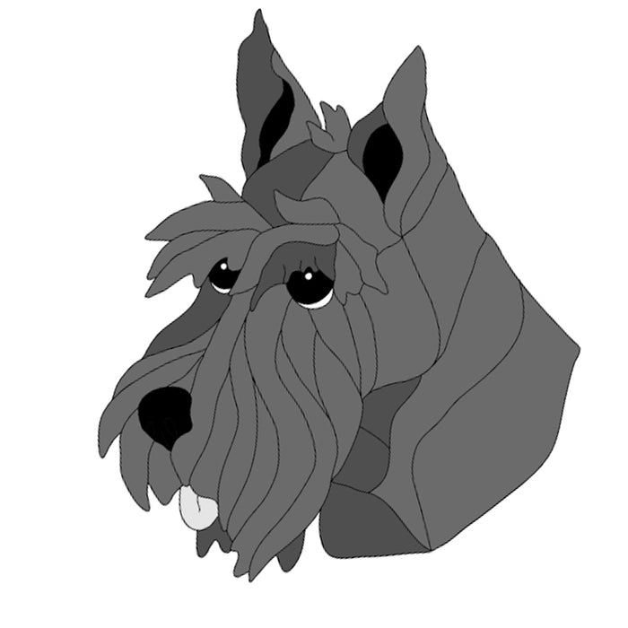 Scottish Terrier Head