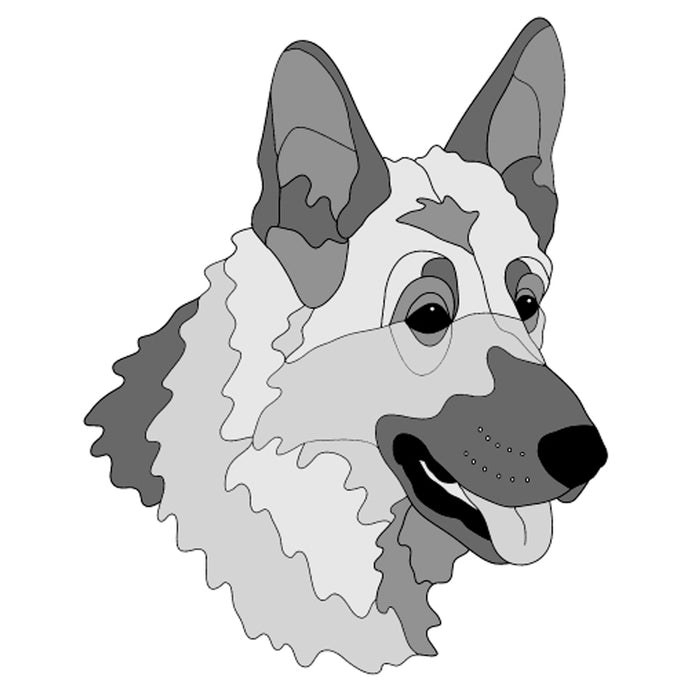 German Shepherd Head