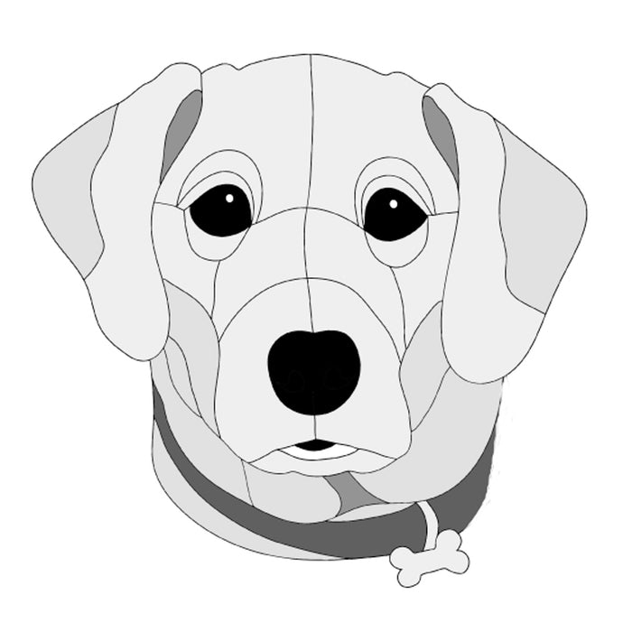 Labrador Retriever Head with collar