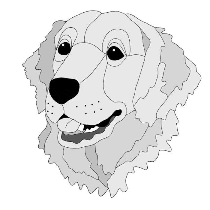 Golden Retriever Head