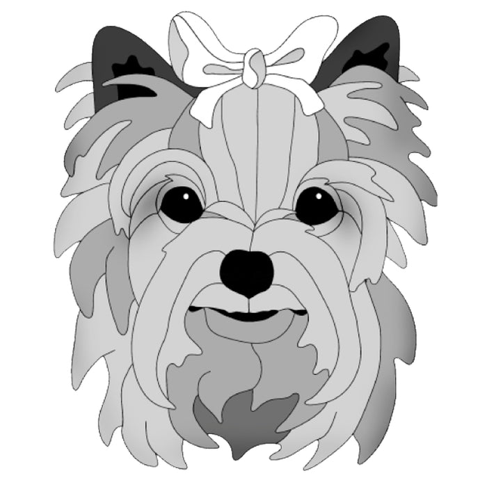 Yorkshire Terrier Head