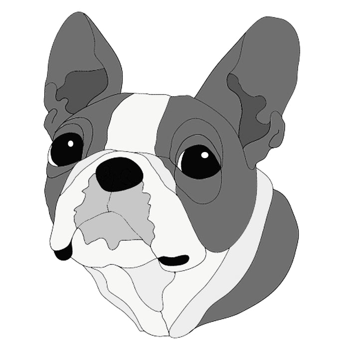 Boston Terrier Head