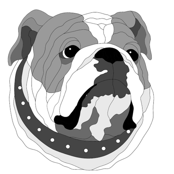 English Bulldog Head