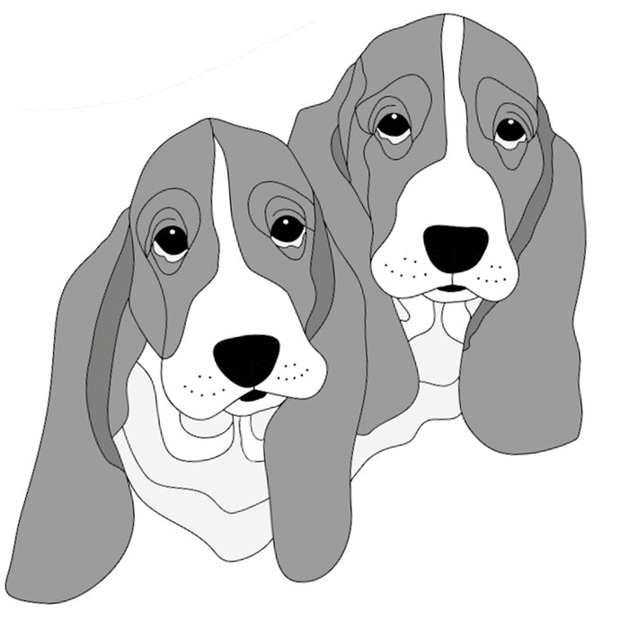 Basset Hound Pair