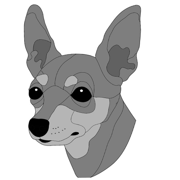 Miniature Pincher Head