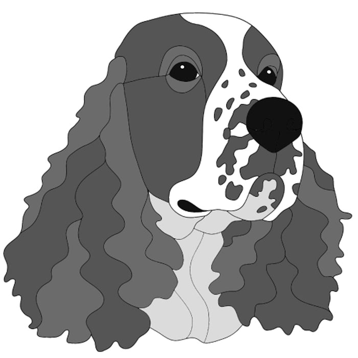 Springer Spaniel Head