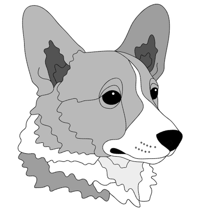 Pembroke Welsh Corgi Head