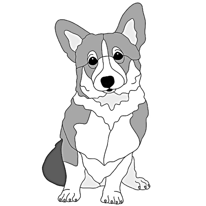 Pembroke Welsh Corgi Sitting