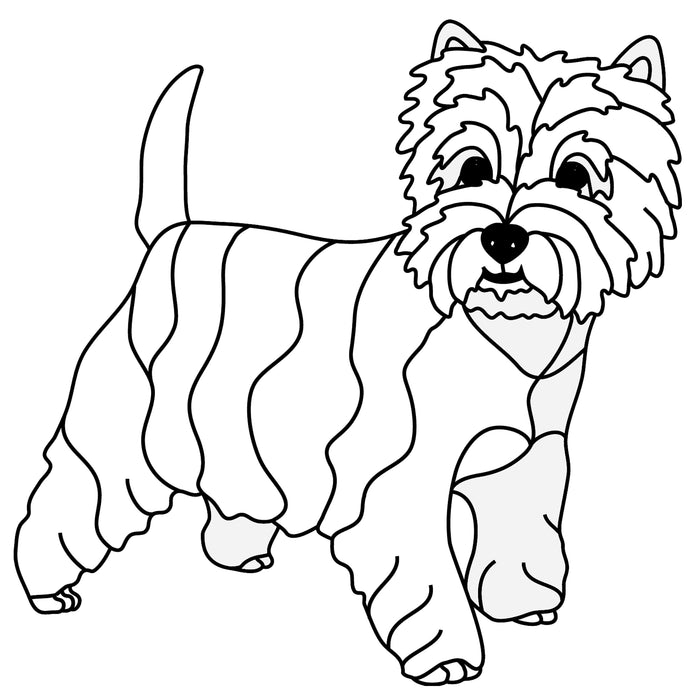 West Highland White Terrier Standing