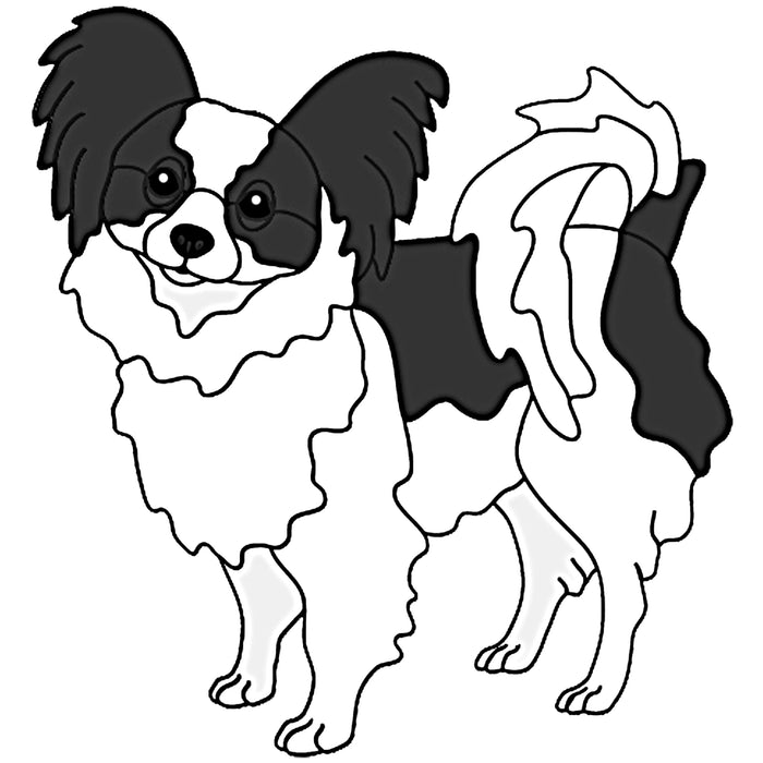 Papillon Standing