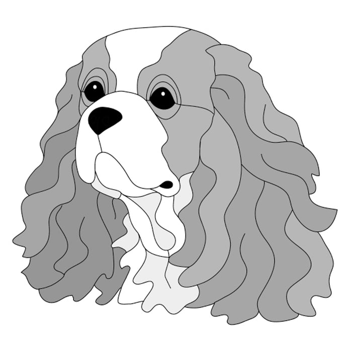 Cavalier King Charles Spaniel Head