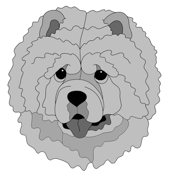 Chow Chow Head