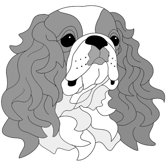 King Charles Spaniel (English Toy Spaniel) Head