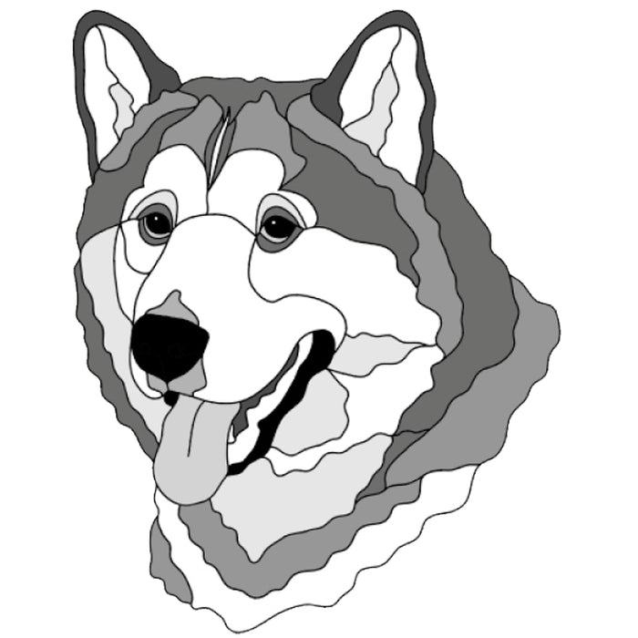 Alaskan Malamute Head
