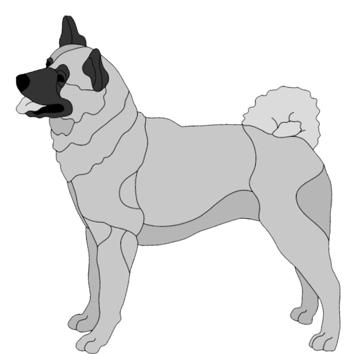 Akita Standing