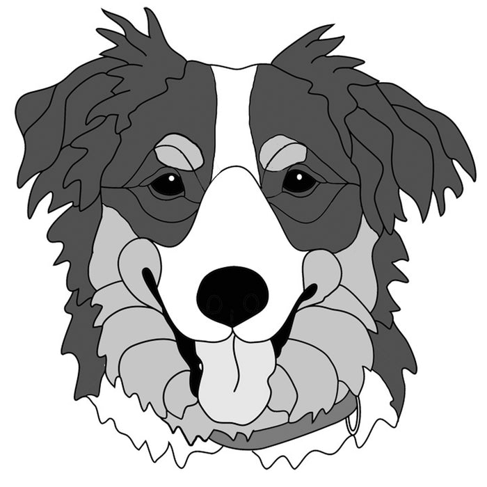 Australian Shepherd Head (New Revised)