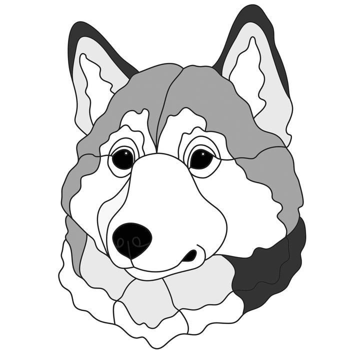 Siberian Husky Head