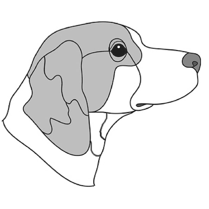 Brittany Spaniel Head