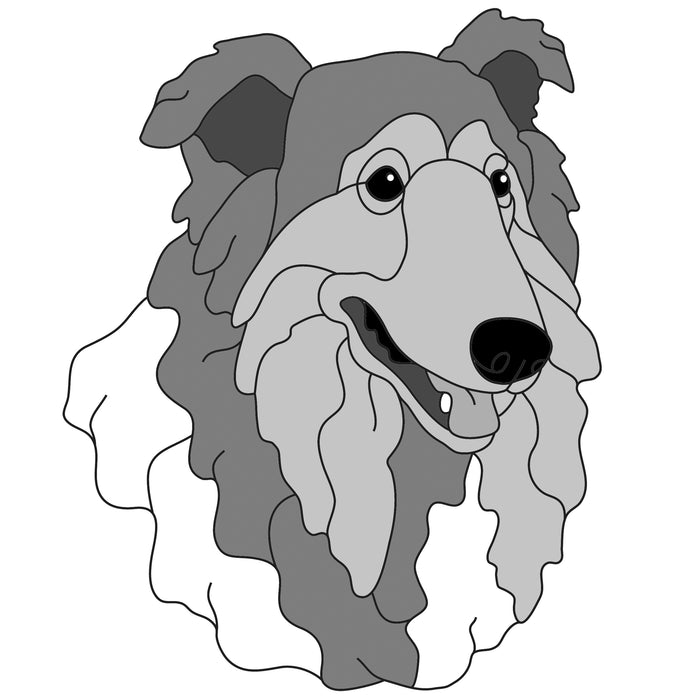 Collie Head