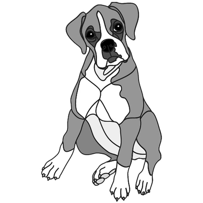 Boxer Puppy Sitting