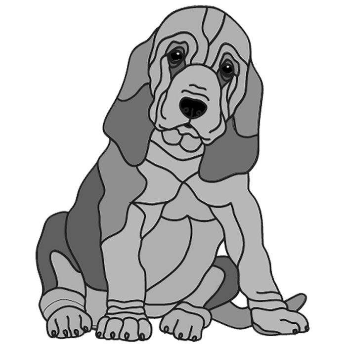 Bloodhound Puppy Sitting