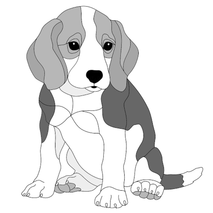 Beagle Puppy Sitting