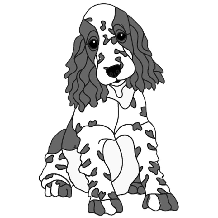 Springer Spaniel Puppy Sitting