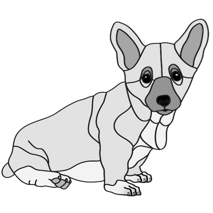 Pembroke Welsh Corgi Puppy Sitting