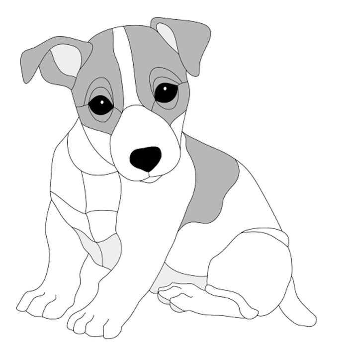 Jack Russell Puppy Sitting
