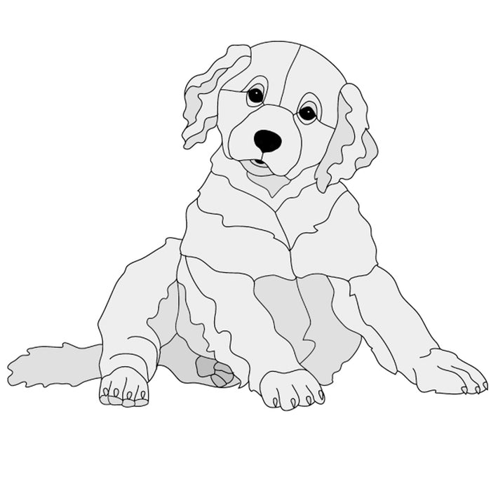 Golden Retriever Puppy Sitting